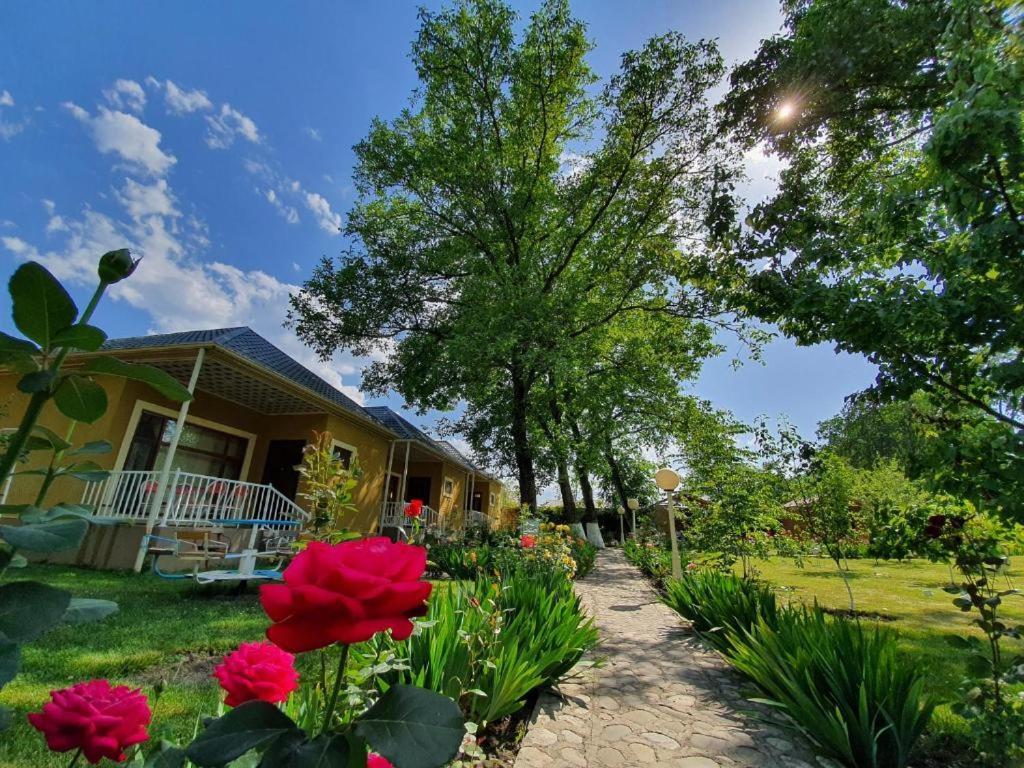 Zangazur Hotel & Cottages Kusar Dış mekan fotoğraf